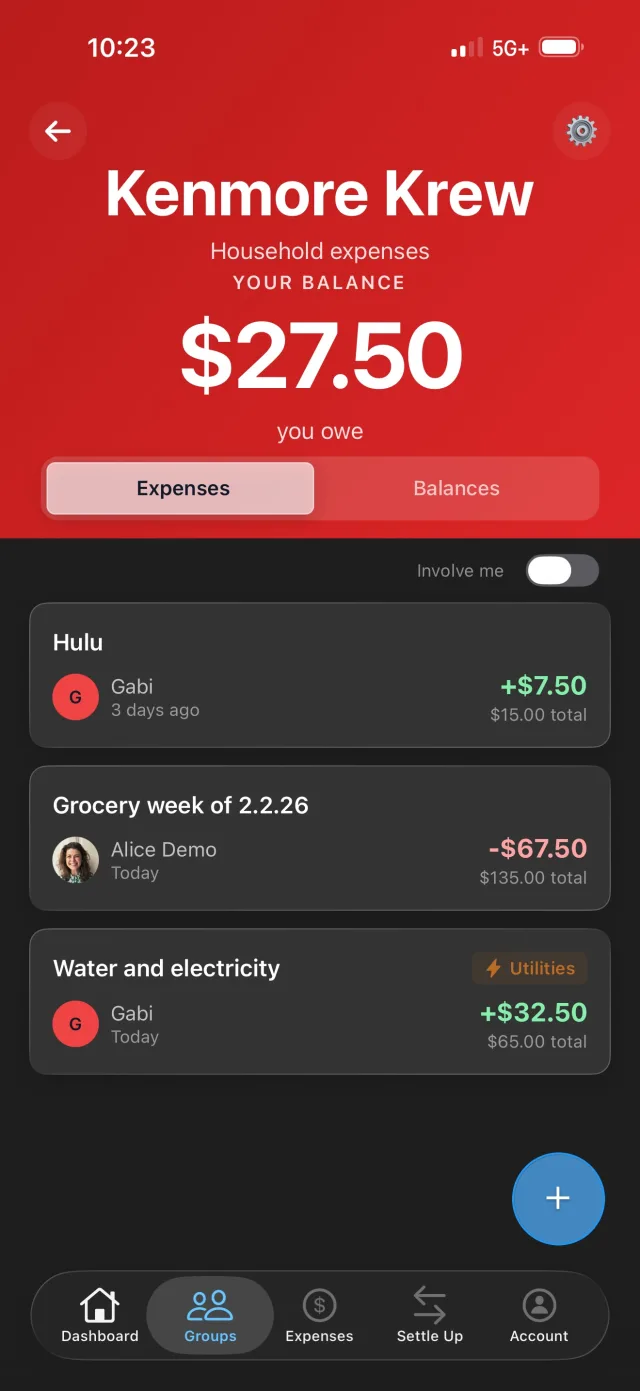 Roommate group with Hulu, grocery, and utility expenses